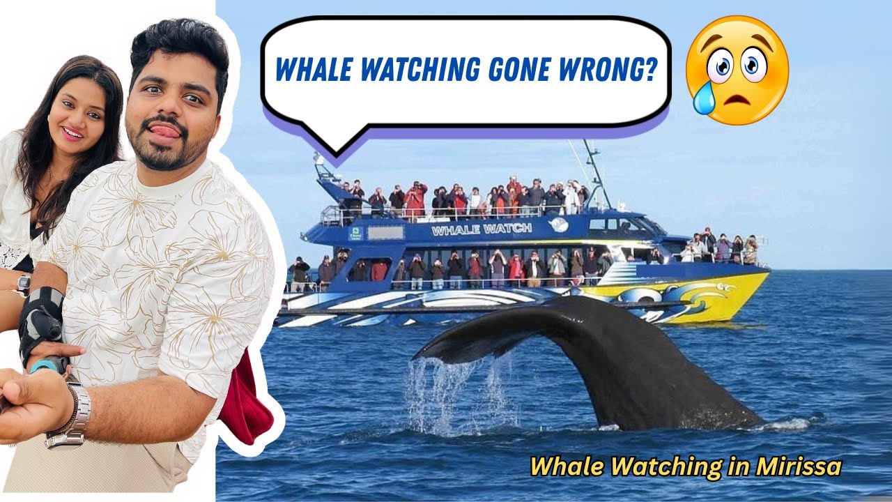 Whale Watching in Mirissa, Sri Lanka 🐋  We Missed It by Seconds!