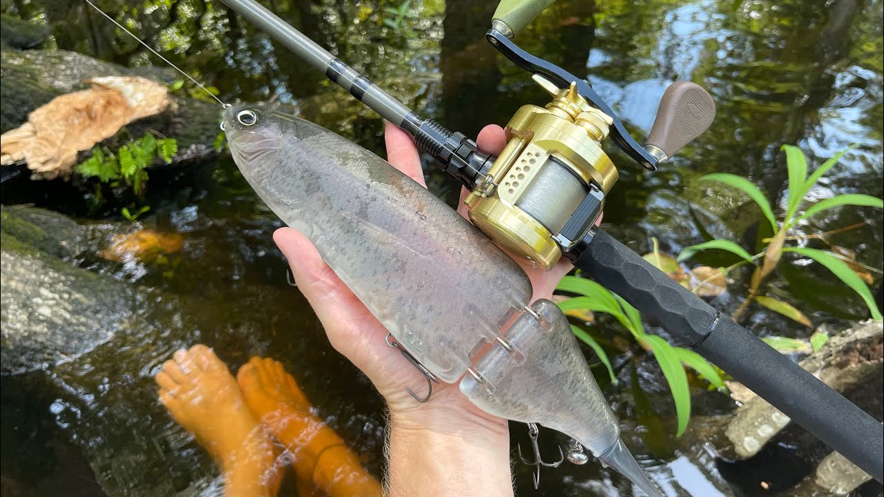 Throwing My Biggest Swimbaits In A Hidden Florida River