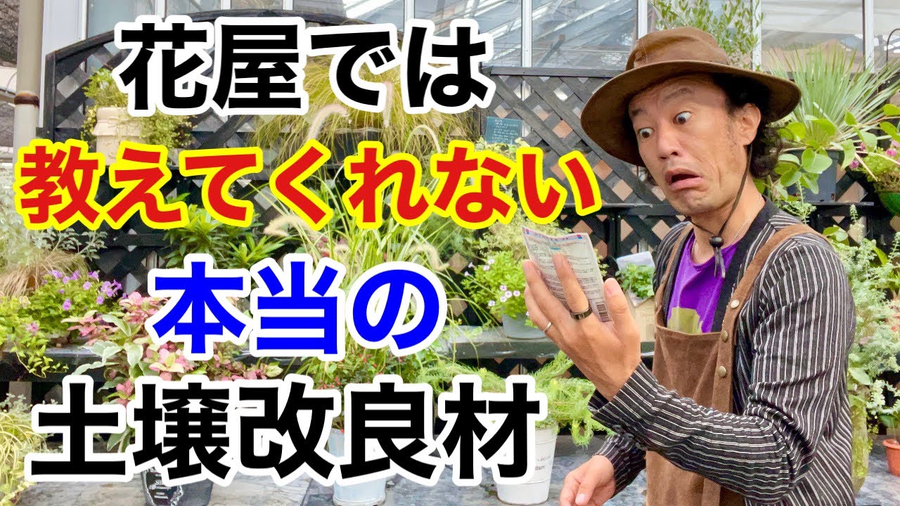 【あなたは知らない】緑肥の凄さ教えます　　　　　　　【カーメン君】【園芸】【ガーデニング】【初心者】