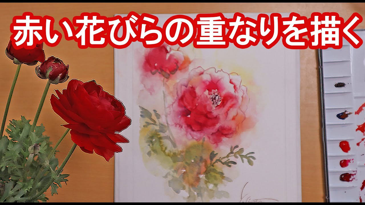 【透明水彩画】赤い花びらの重なりを描く