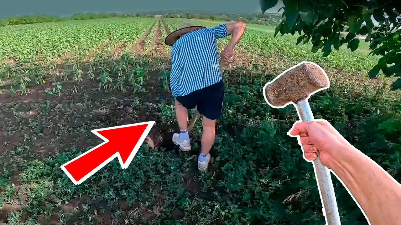 He Wanted To Bury Me! (Epic Action POV)