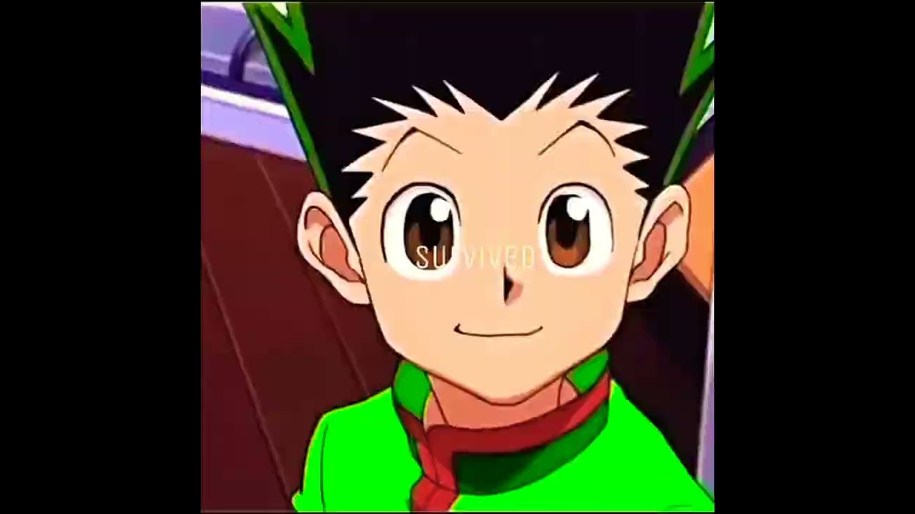 we fight Gon and killua