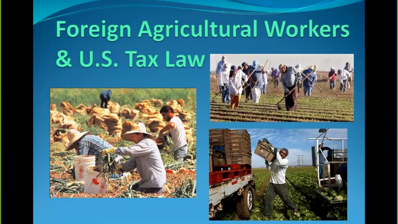 Foreign agricultural workers and U.S. tax law