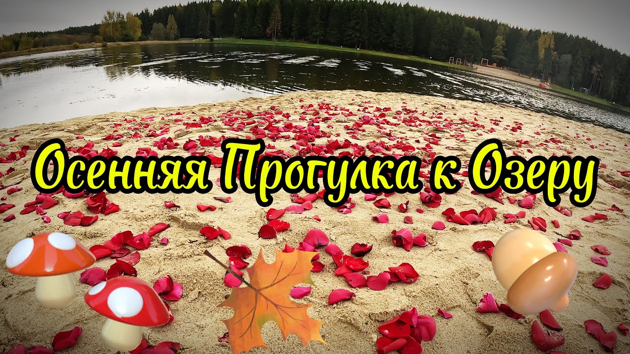 Осеннее Волшебство Озера Загорское Море: Прогулка по Лесу и Природные Чудеса