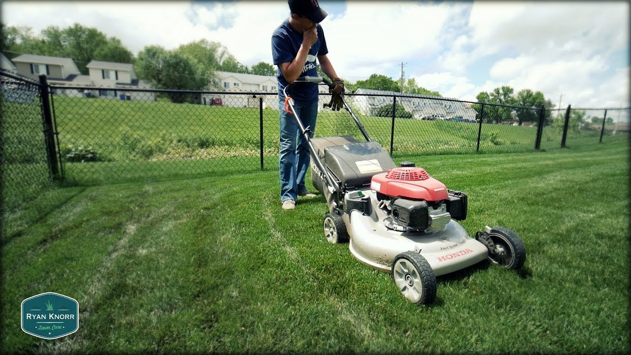 Mowing Wet Grass + So Many Updates!