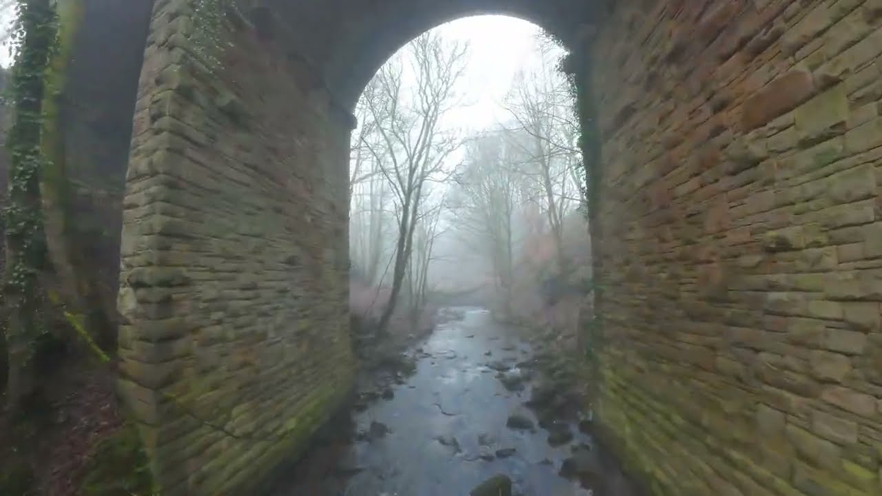 Healey Dell Nature Reserve 4k 60 FPS