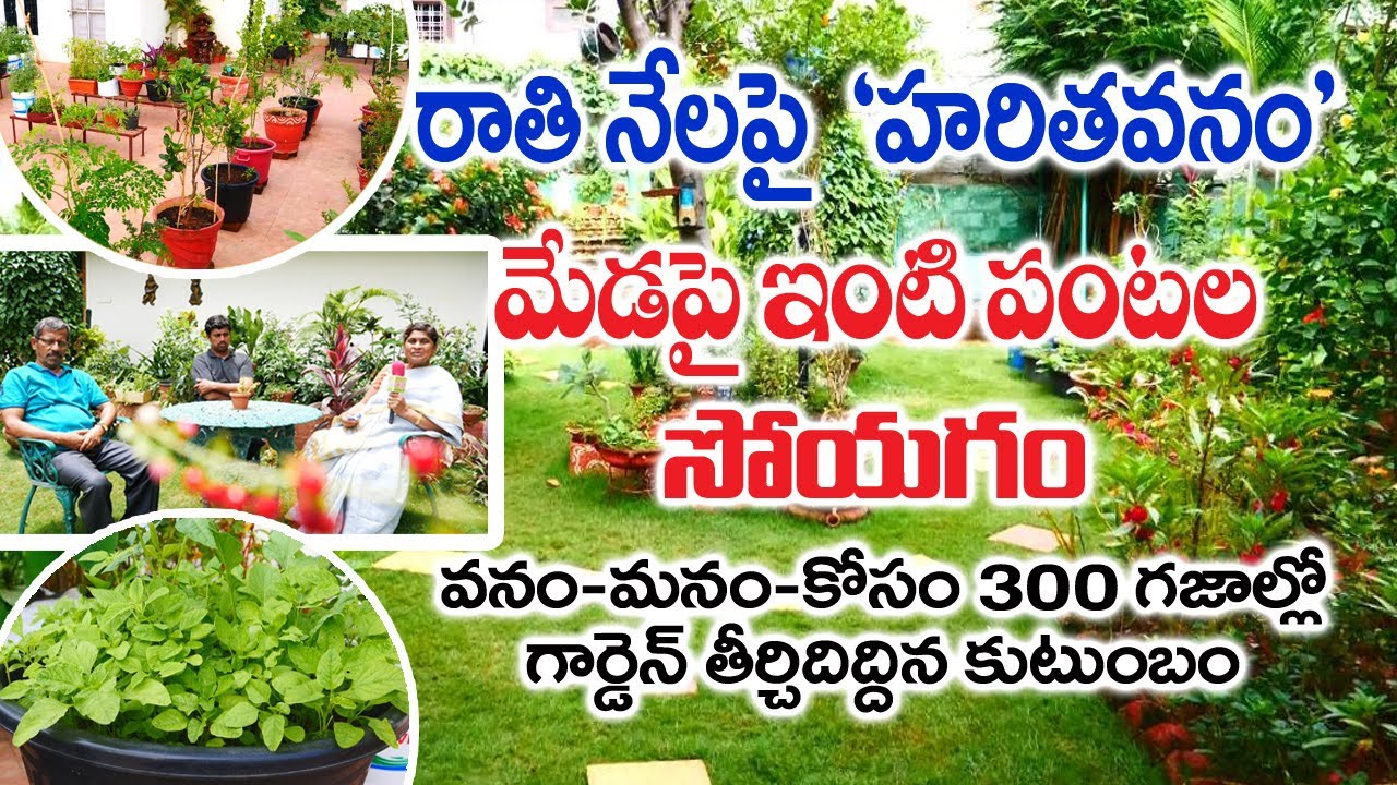 Mini Forest at Home || Garden || Terrace Farming || Vishnu Vandana || Hyderabad || Rytunestham