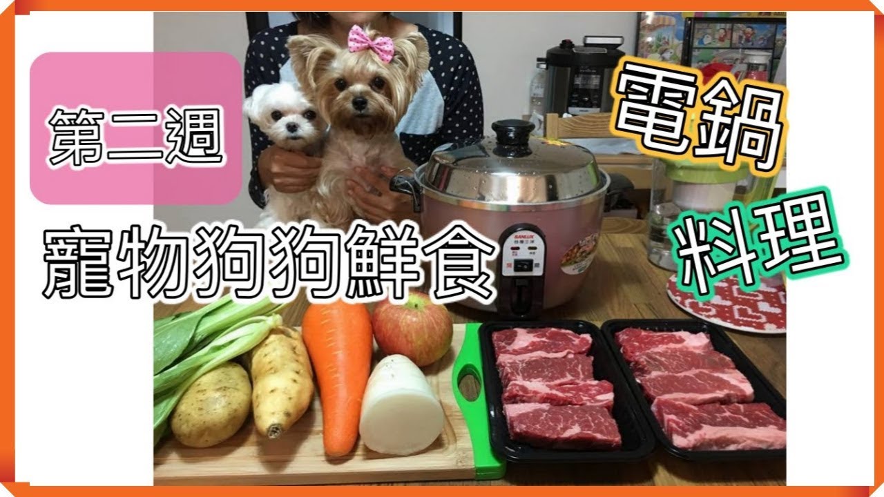 寵物狗狗鮮食簡單做–第二週便當 🍴(電鍋料理)牛肉燉蔬菜 ｜Easy Homemade Dog Food#2nd Week