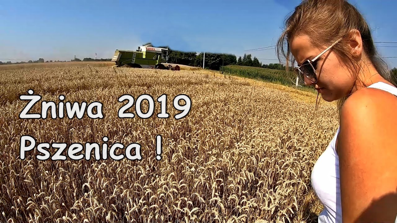 Pierwszy Wjazd Pszenice ☆Żniwa 2019 z Agatą☆