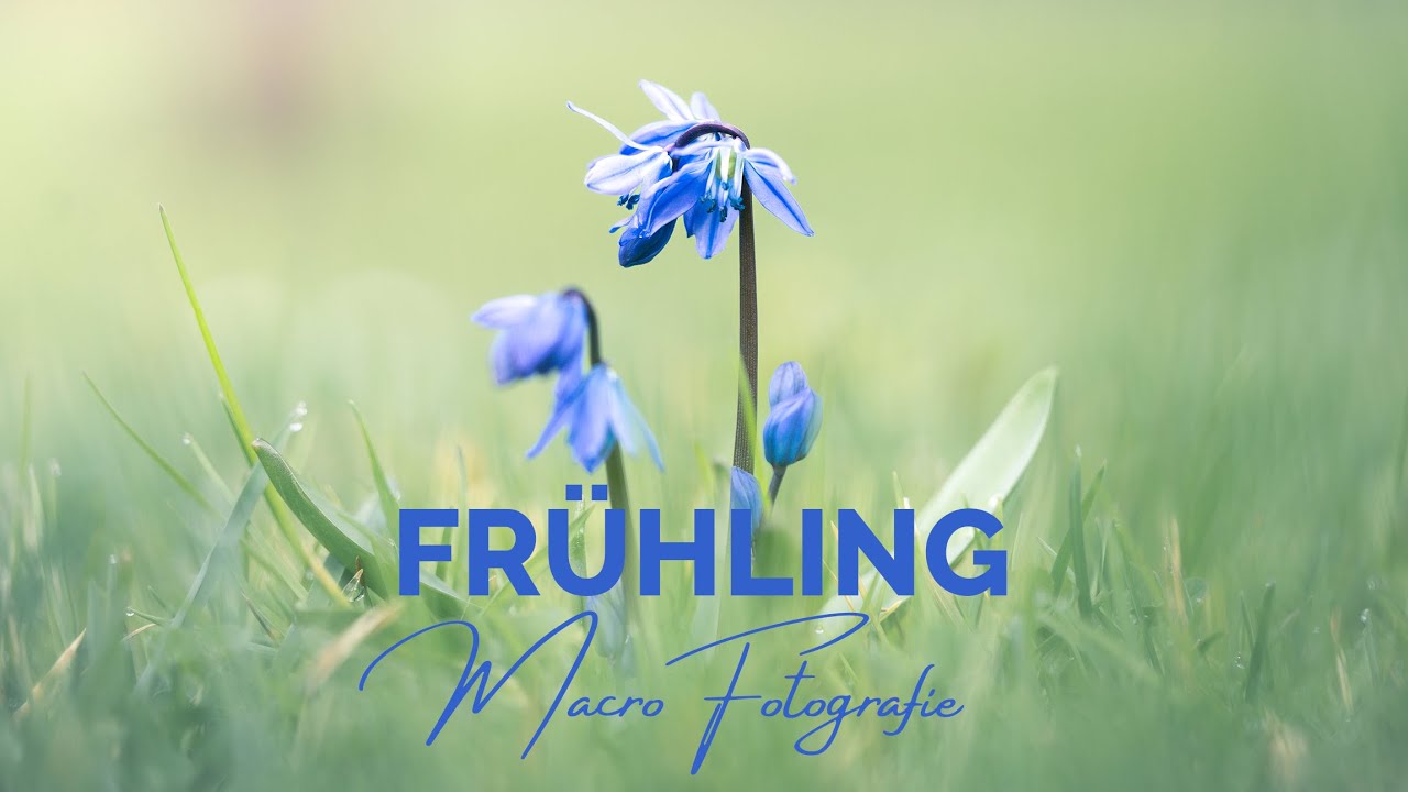 MAKRO ZAUBER IM FRÜHLING | Fotografie Tutorial