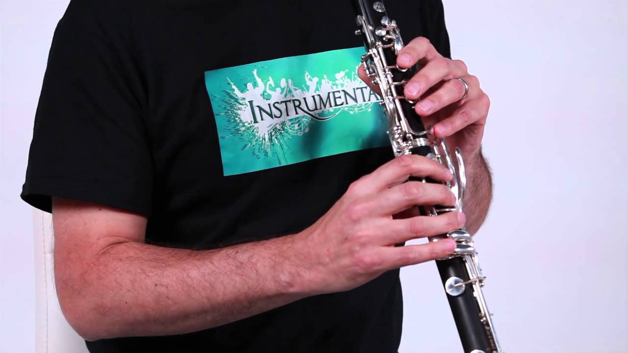 Clarinet Lesson |  Fields of Athenry | Instrumental
