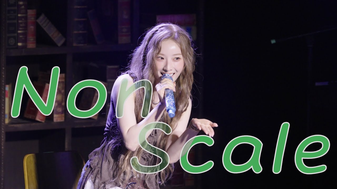 하슬 - Non Scale Cover 4K Live Fancam