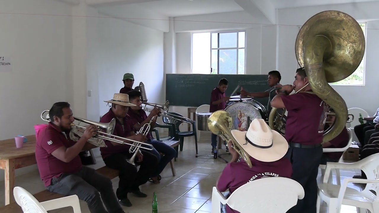 🎺🎶hay que bonito se escucha  la banda Tilape&ntilde;a 🎶🎺
