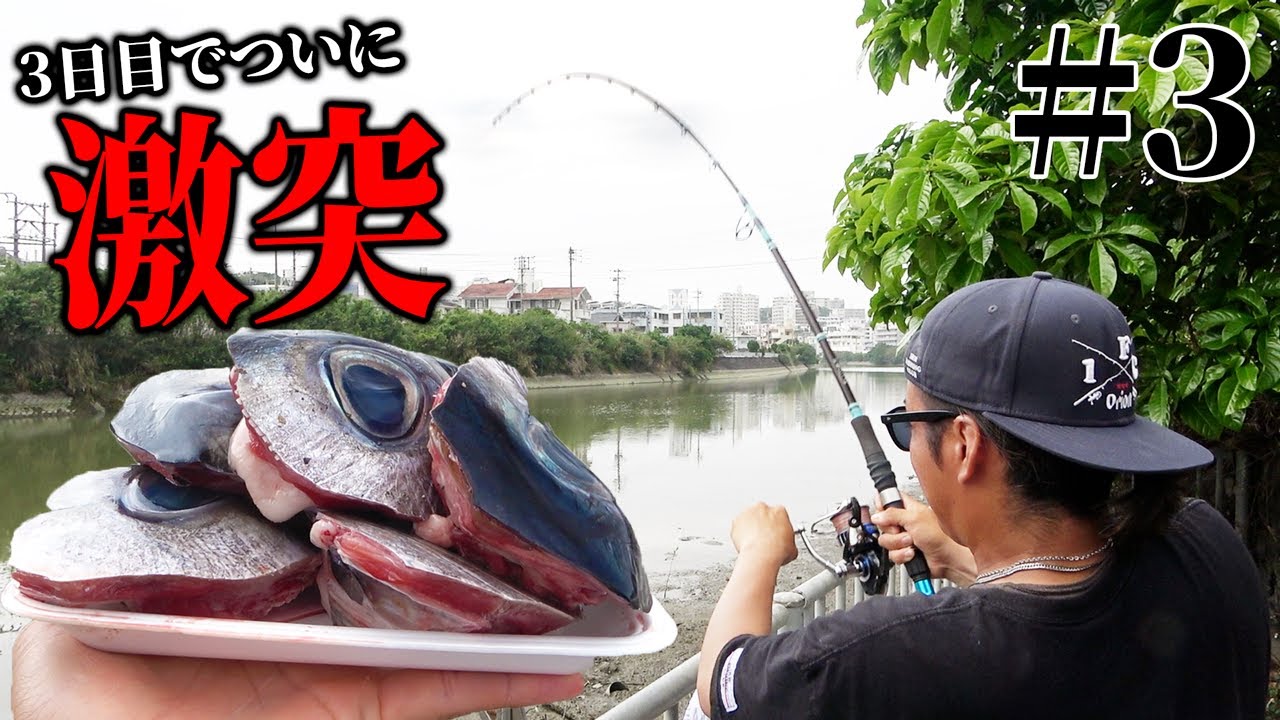 【#3】三日目突入！新兵器投入でついに大物がHITしました！