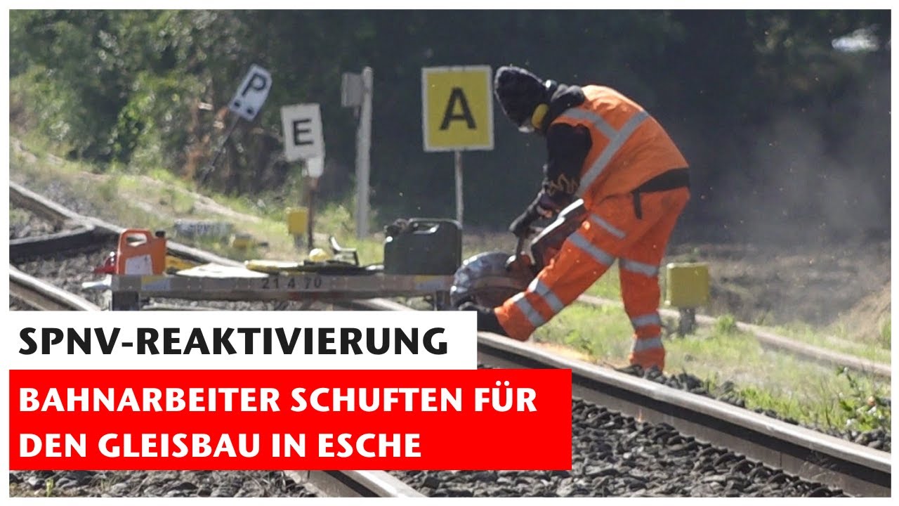 SPNV-Reaktivierung: BE saniert Gleis in Esche für Regiopa-Verlängerung und Güterverkehr | GN-Online