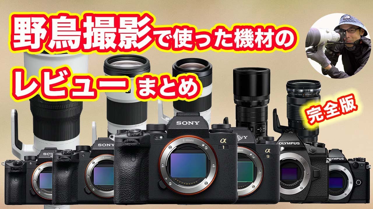 【野鳥撮影】今まで使った機材のレビューまとめ【カメラとレンズ】