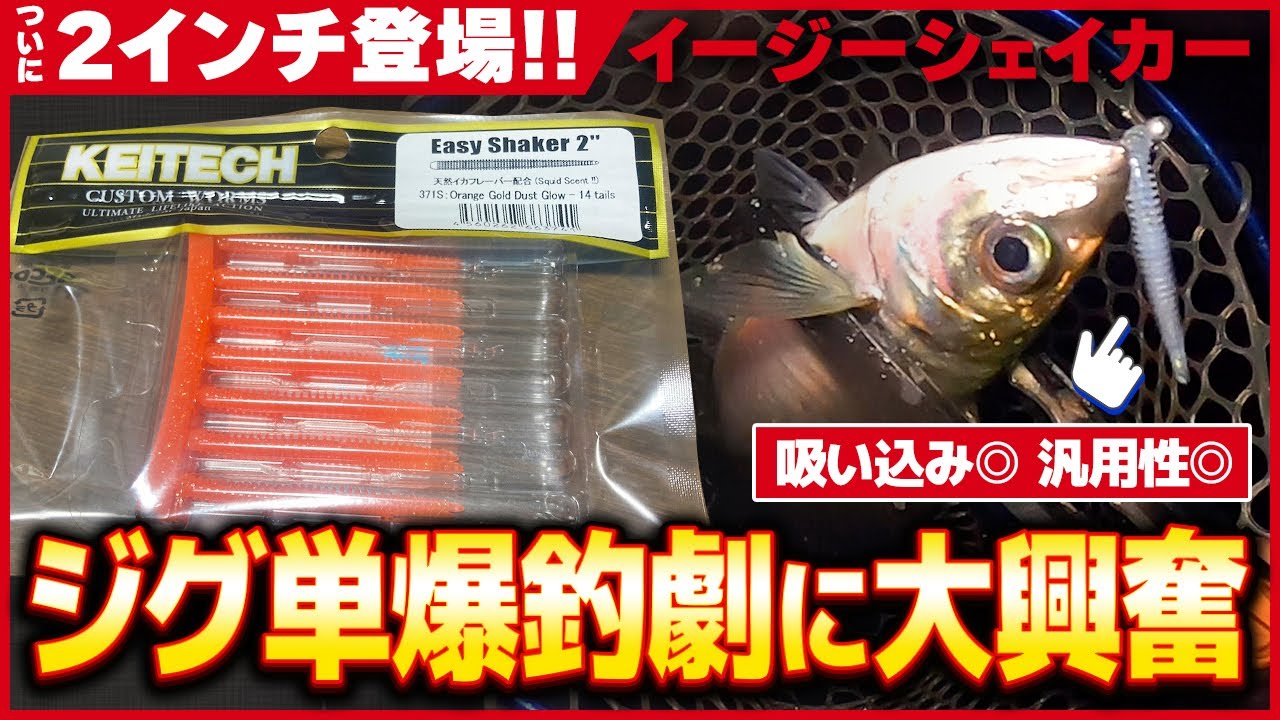 【アジング】2インチ入れ食い!?イージーシェイカー新サイズ実釣へ!【淡路島】