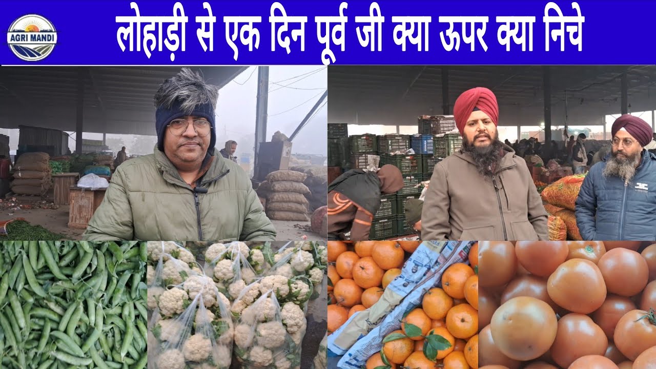12/01/26 फल-सब्जी करनाल मंडी सोमवार थोक दाम #फल #सब्जी #थोकभाव  #farmer 