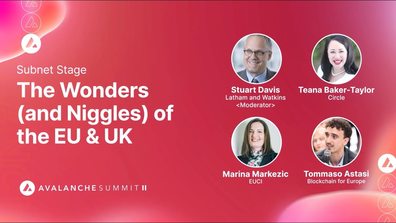 The Wonders (and Niggles) of the EU & UK I Avalanche Summit II