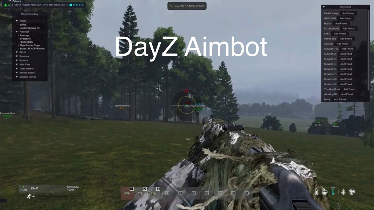 Server Hopping on DayZ Official and Using Aimbot