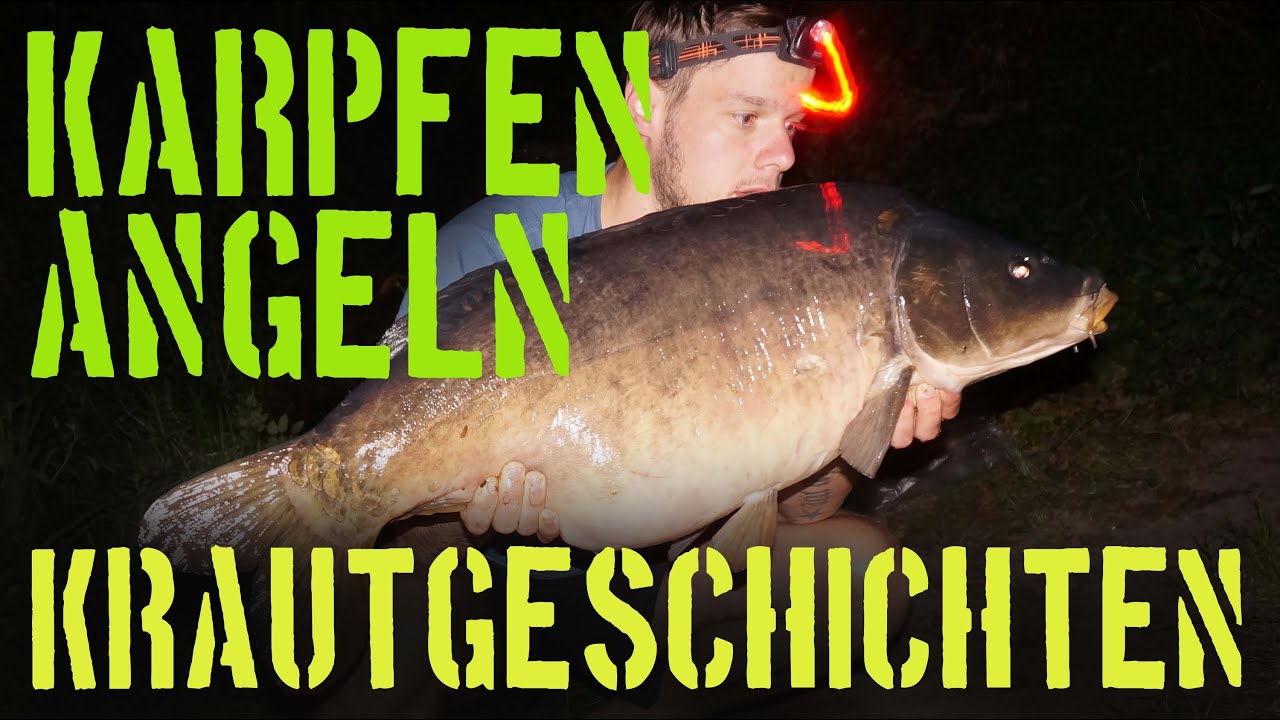 Karpfenangeln im Spätsommer - Krautgeschichten