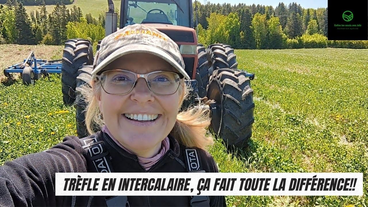 TRÈFLE EN INTERCALAIRE ça fait toute la différence!!