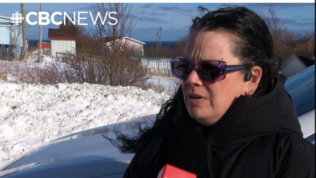 Pouch Cove shaken by violent dog attack