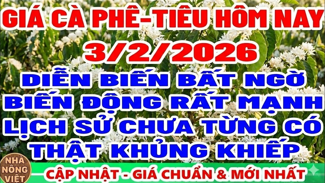 Giá cà phê hôm nay ngày 4/2/2026 | BIẾN ĐỘNG RẤT MẠNH - NHÀ NÔNG VIỆT