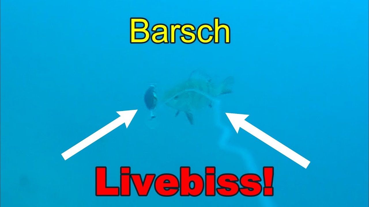 Auf Barsch am Steinbruch! Mit Wobbler,Gummifische,Gummikrebse! Barsch attackiert live einen Wobbler!