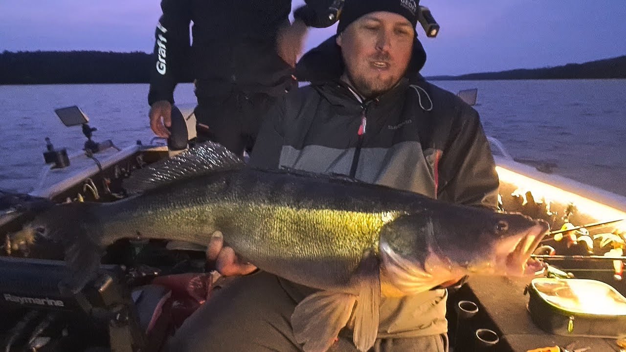 Gruby Sandacz 90. Wyprawa wędkarska do głuszy w Szwecji. Sierpień 2024 .  Szczupak ,Okoń . Tylko Jig