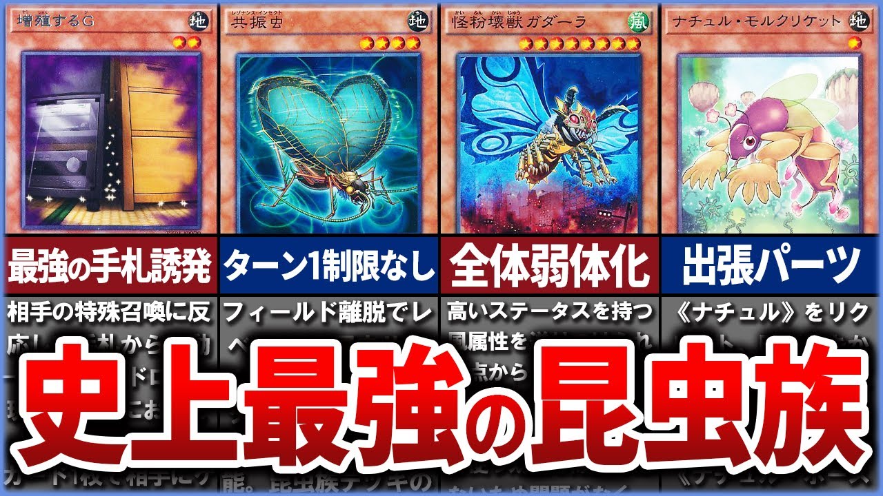 【遊戯王】史上最強の昆虫族モンスター10選を徹底解説【ゆっくり解説】#遊戯王ocg #遊戯王 #yugioh