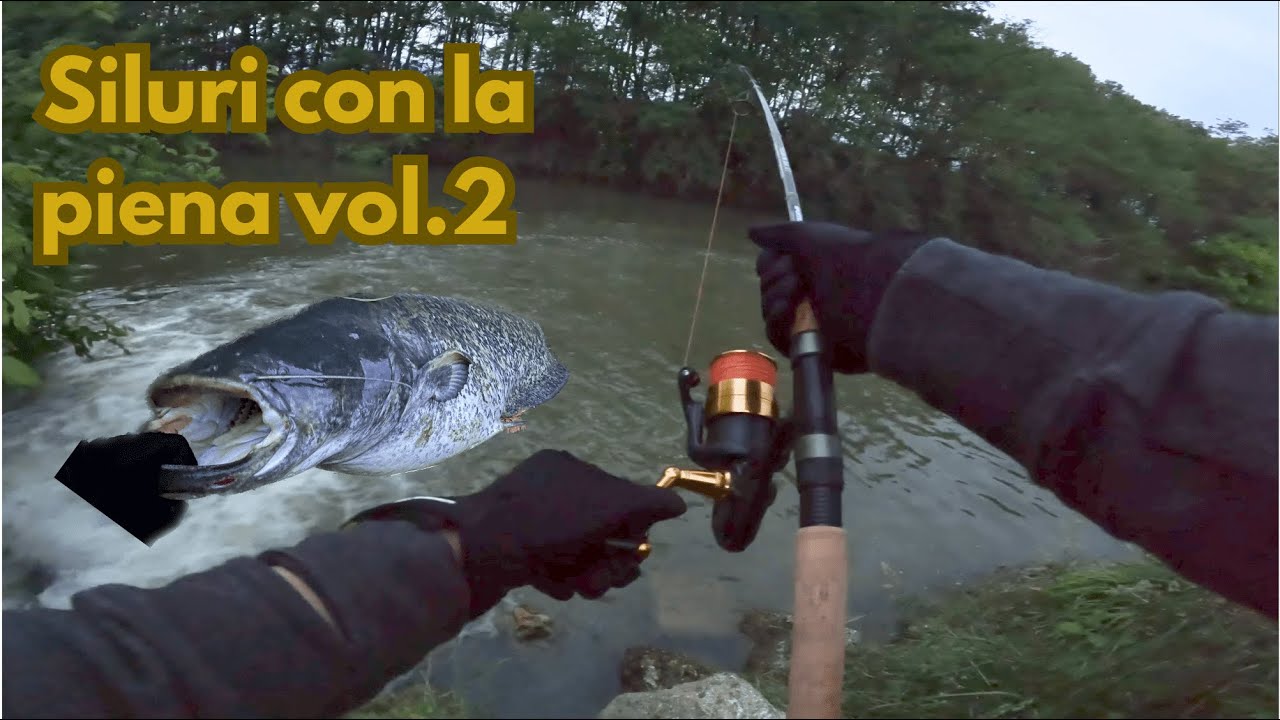 SILURI con la piena vol.2 - MONSTER under the waterfall