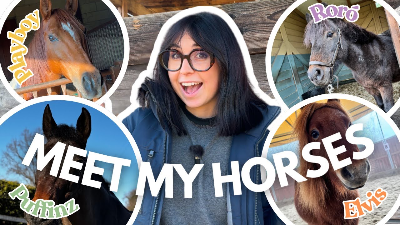 MEET MY HORSES: vi presento i miei cavalli!🐴