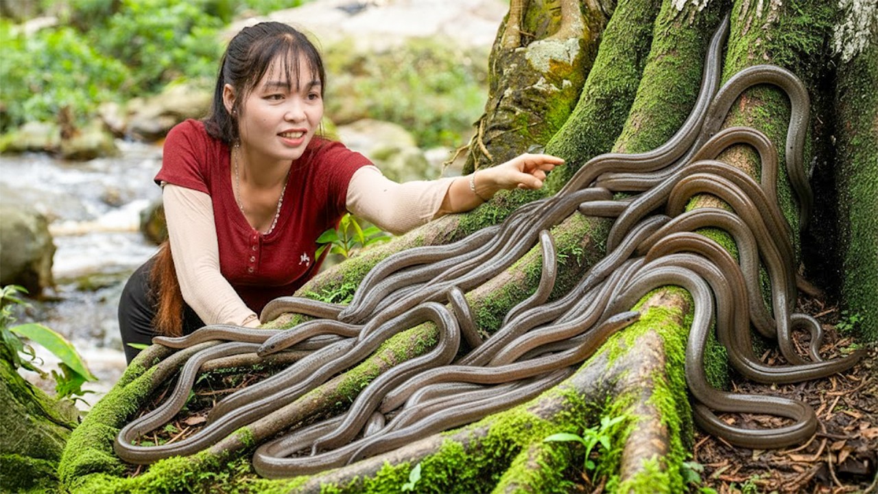 Recolhi Muitas Enguias Gigantes na Floresta Rochosa e Levei ao Mercado – Vida Cotidiana