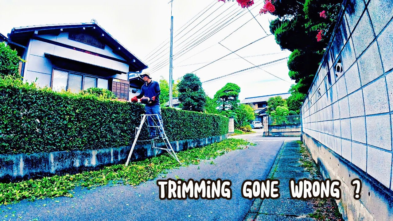 Perfect Hedge Trim