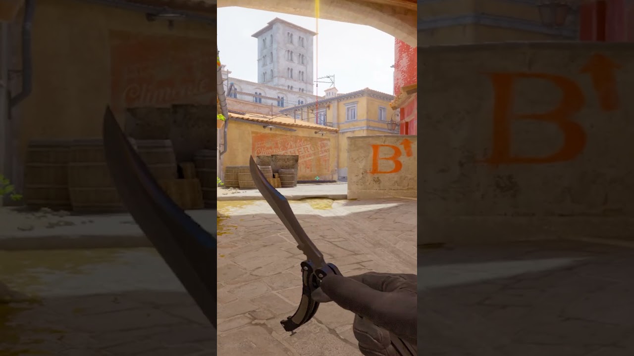 If you are level 10 and dont know this flash you are trolling