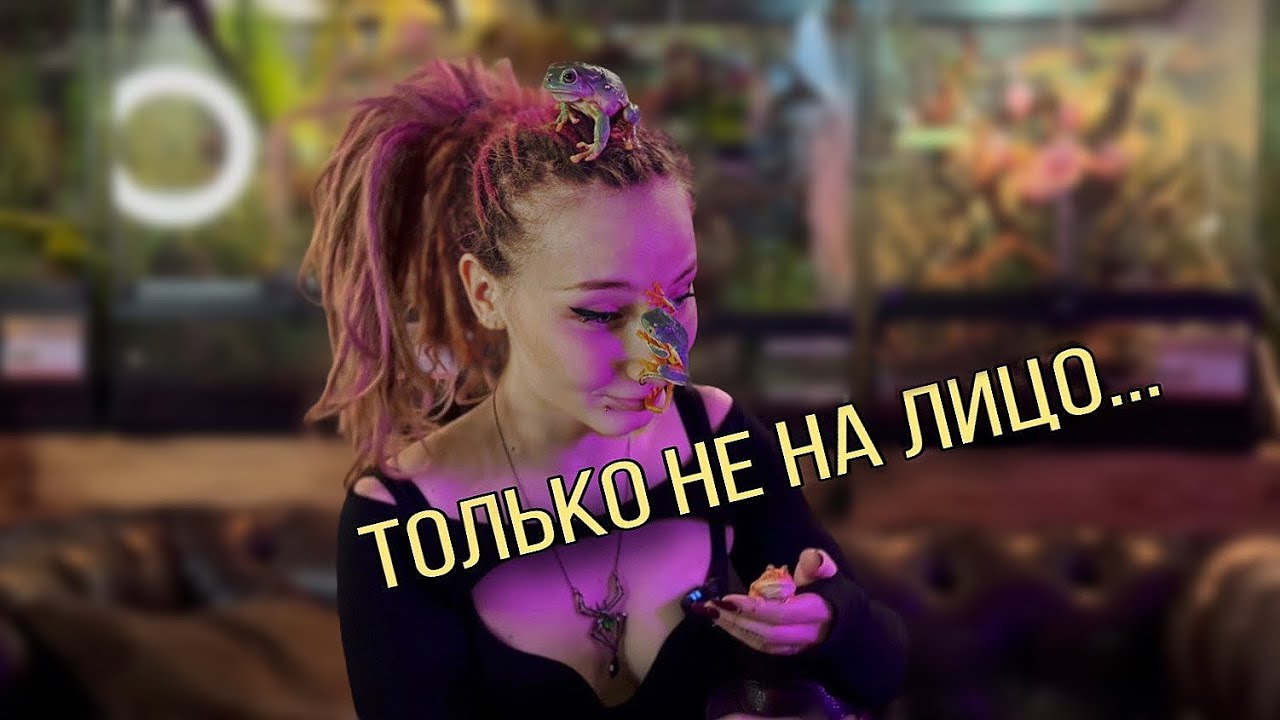 Токсичными бывают не только комментарии/Лягушки, жабы и их секреты. Разбор с @Agama Mama