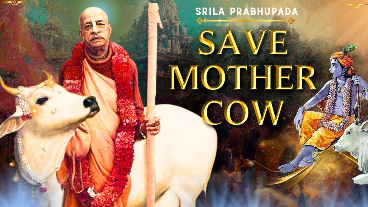 #ISKCON - Cow Protection  Model || Srila Prabhupada || ISKCON GauShala || Jivjaago Media