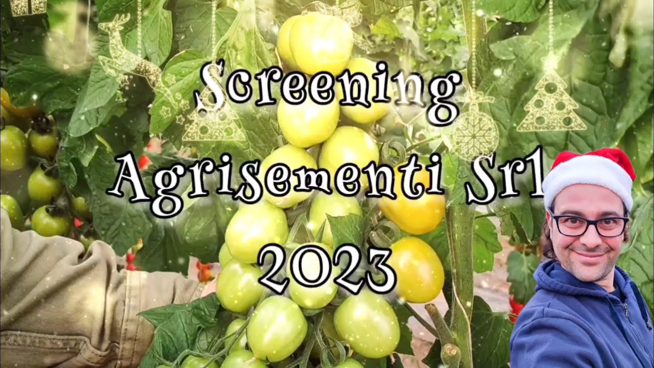 Screening Pomodori 2023 Nuove varietà Professionali Agrisementi Srl