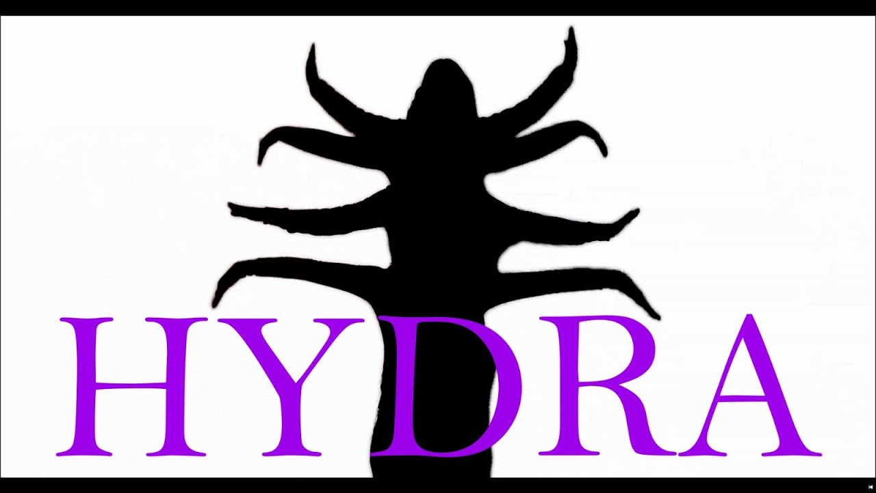 H.O.T. Minds - HYDRA (Official Lyrics Video)