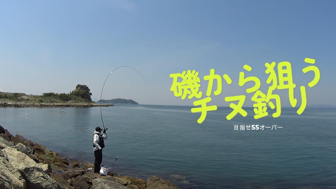 00号のウキを沈めて、磯から狙うチヌ釣り