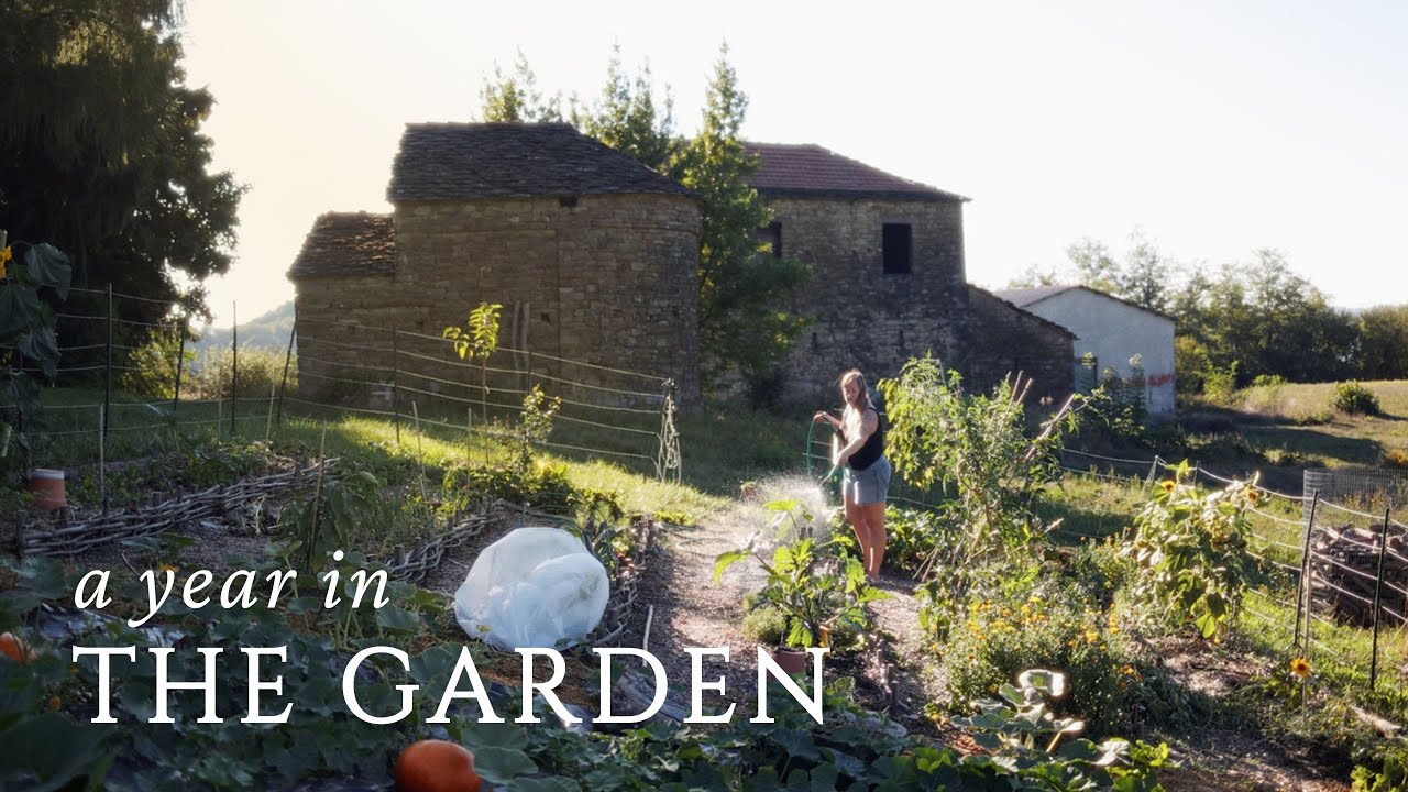 From Brambles to Harvest | One Year Building a Garden from Scratch