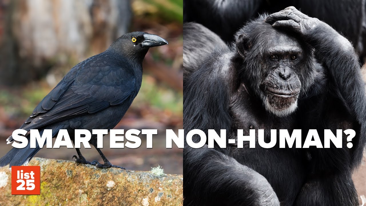25 Things Science Got Totally WRONG