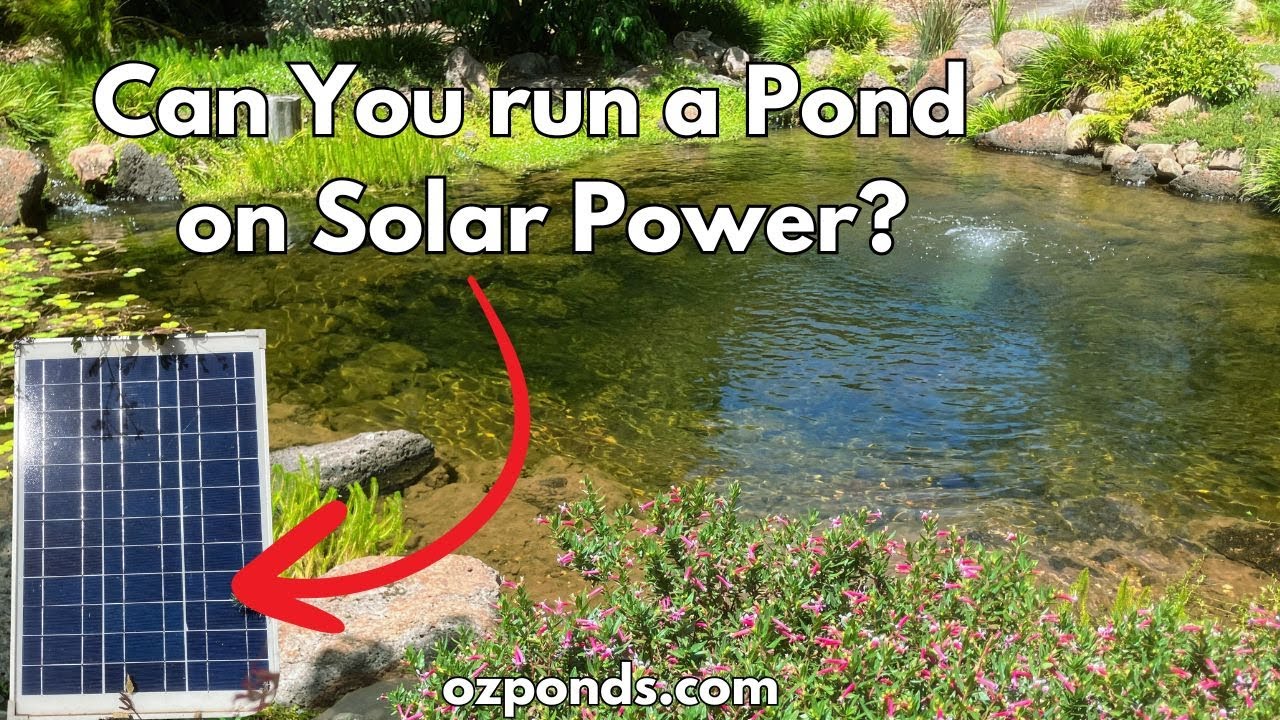 Can you filter a pond with just solar?