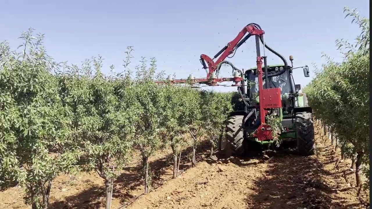 ✂Podadora de Discos intercambiables | Almendro | V1 ID David