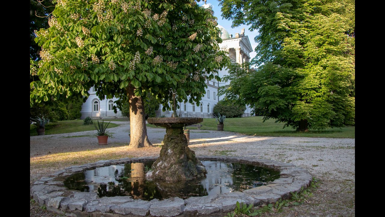 Starostlivosť lesníkov o anglický park v Topoľčiankach