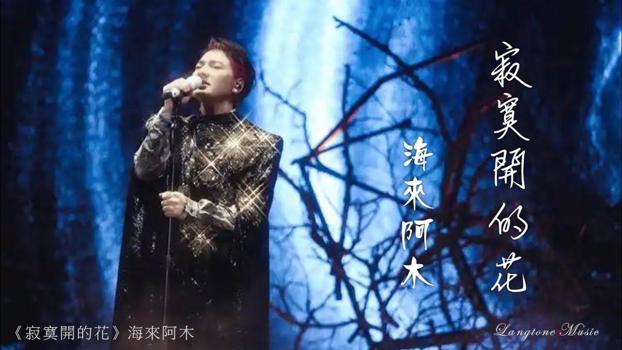 寂寞開的花 Ji mo kai de hua 海來阿木 Hai Lai A Mu #動態歌詞 Pinyin/Lyrics Music