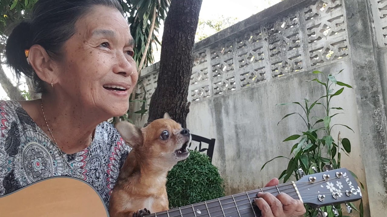 Let it be./ Cover by Malinda👵
