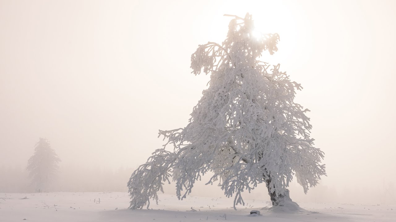 Winter Wonderland auf dem Kahlen Astern vom 30. Januar 2026