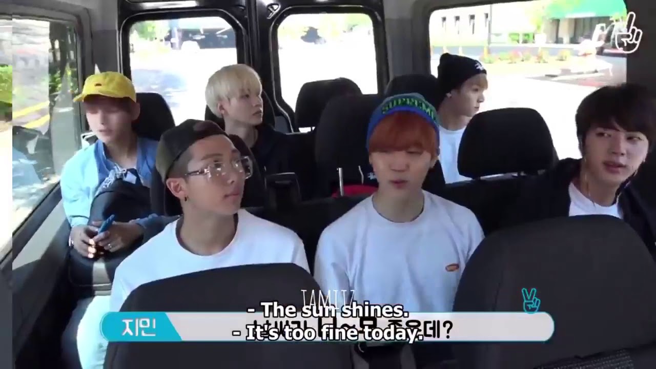 Bts at DISNEYLAND(Army must watch this video )
